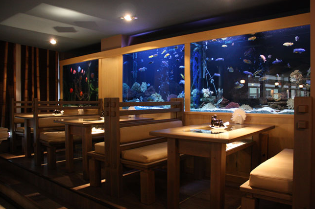 фото зала для мероприятия Рестораны Asahi на 1 зал мест Краснодара